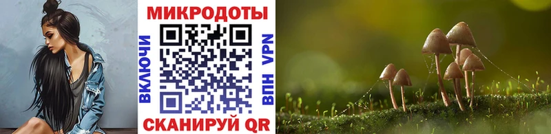 мега рабочий сайт  Харабали  Галлюциногенные грибы Psilocybe  продажа наркотиков 